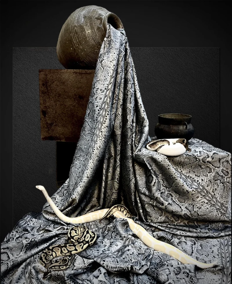 Machine-Woven Silk Jacquard, Wide Width, Naga Pattern, Black-Grey