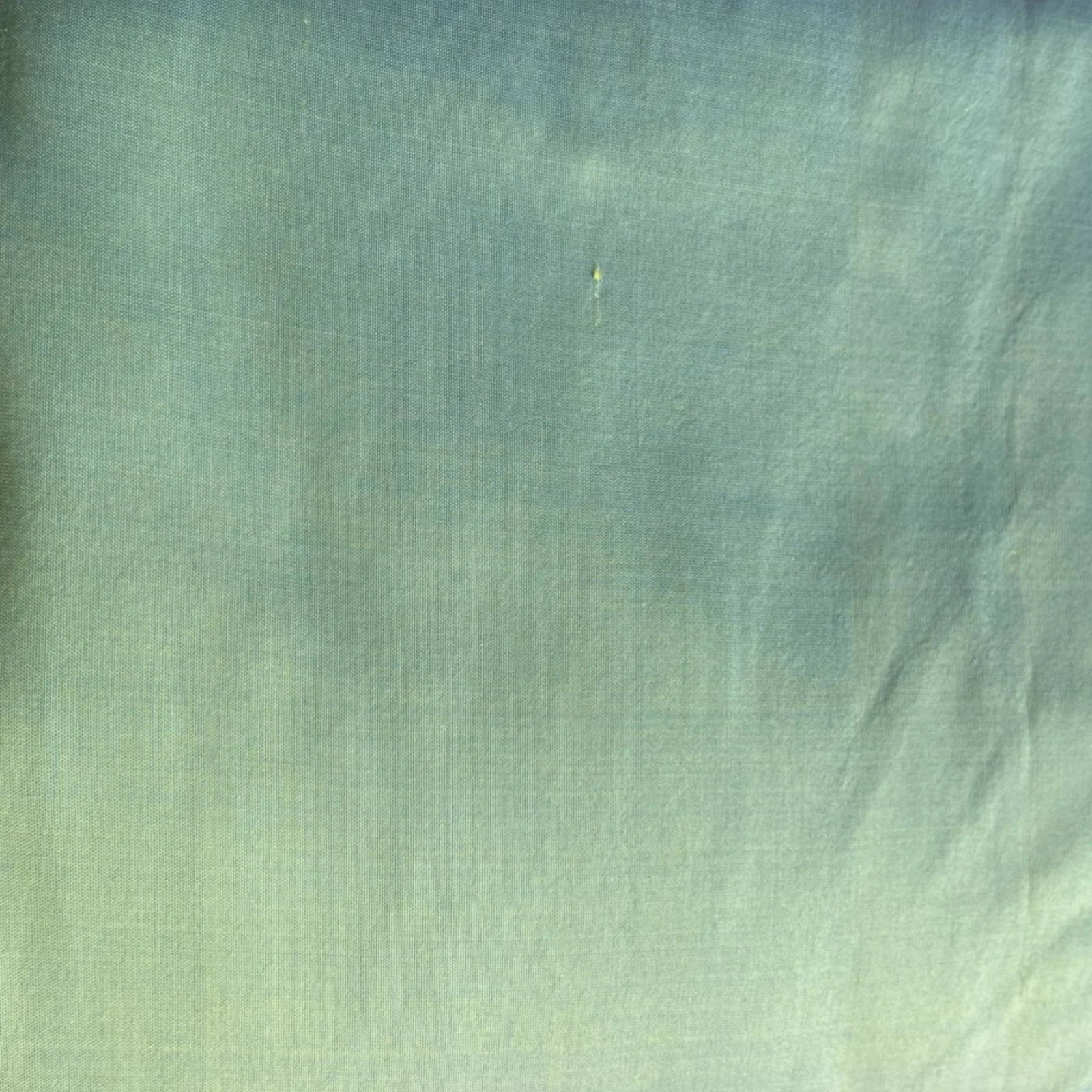 Solid-Colour Silk, Smooth Weave, 2-Ply, Light Golden Green Shot with Sky Blue